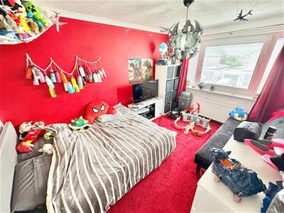 Picture 8